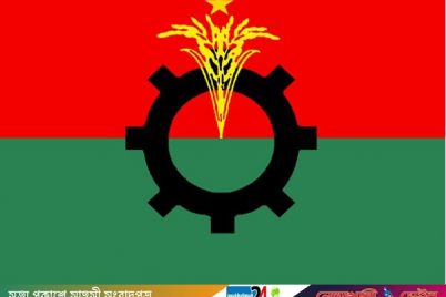 BNP-Flag-Logo.jpg