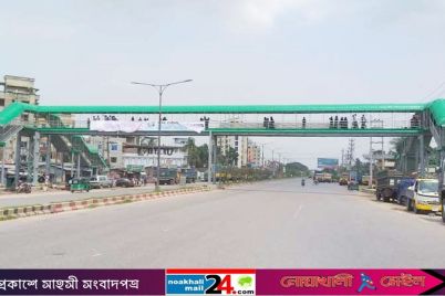 Feni-Foot-over-bridge-pic.jpg