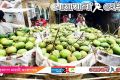 satkhira-mango-NM24.jpg
