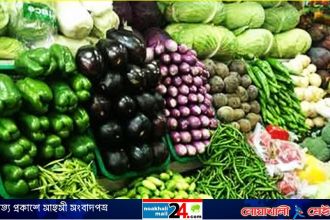 vegetables-NM24.jpg